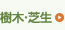 樹木・芝生